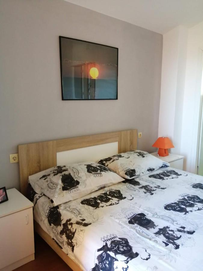 Apartmani A&N Bibinje Exterior foto